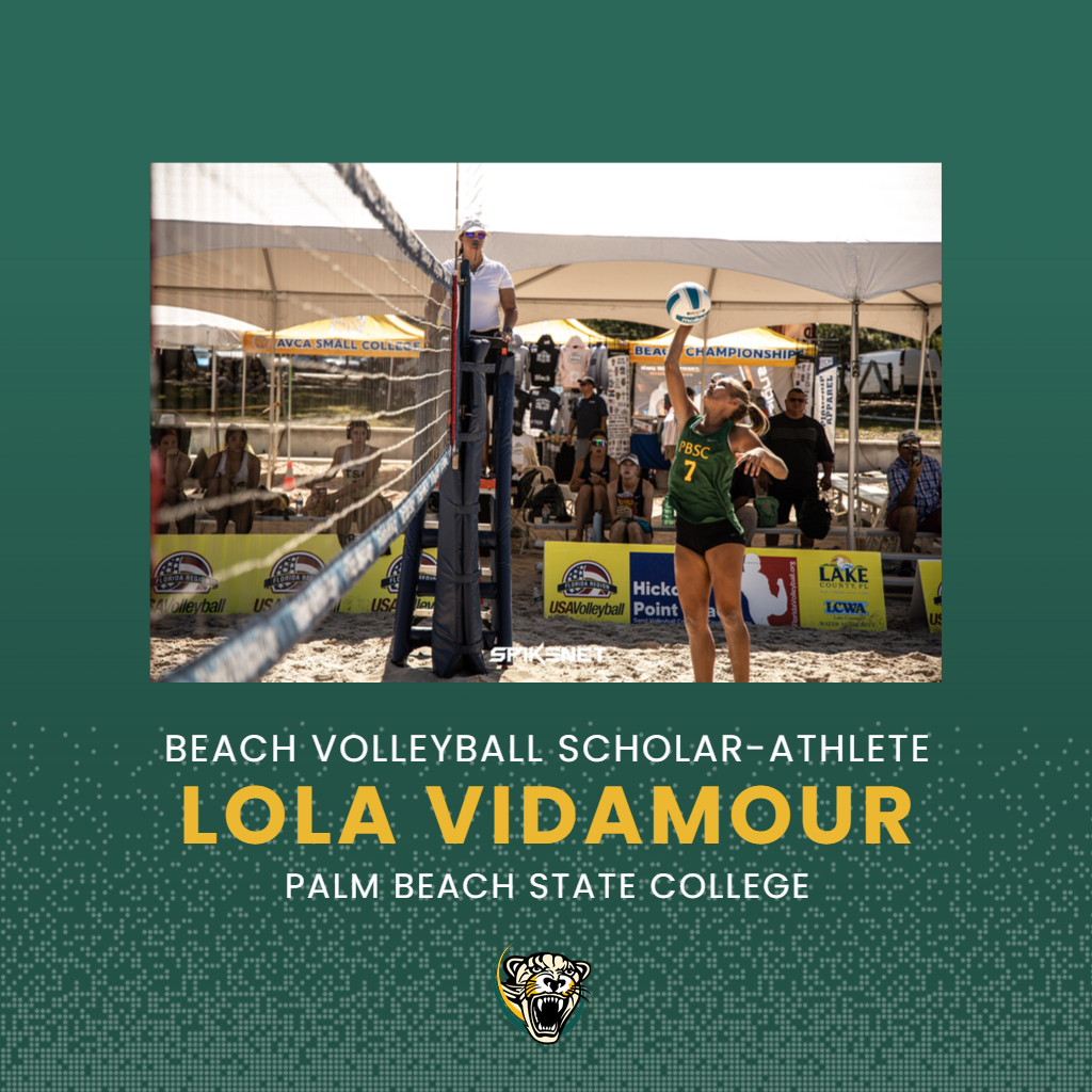 Vidamour Named Scholar-Athlete